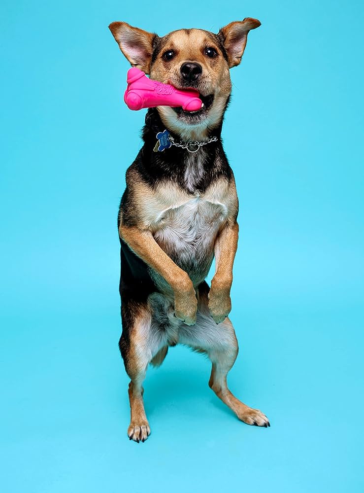 JUGUETES PERRUNOS-INTERACTIVOS