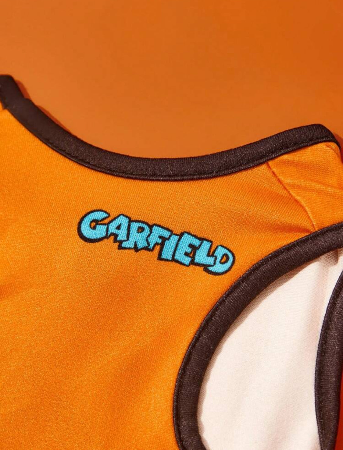 CAMISA GARFIELD