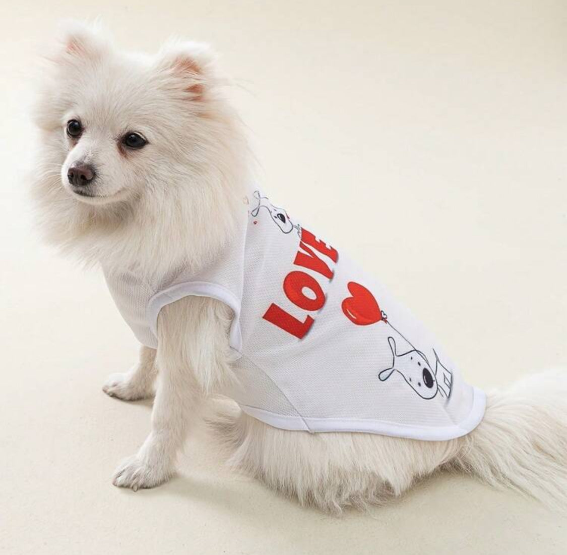 Camisa San Valentín