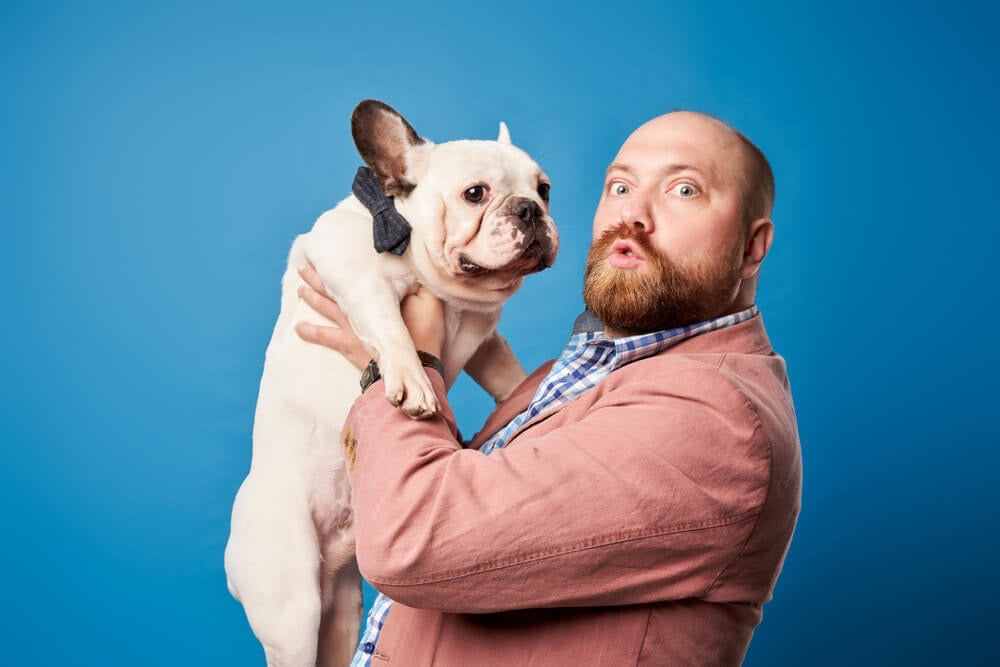 COLECCIÓN DOG DAD